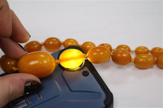 Three assorted single strand graduated amber bead necklaces.